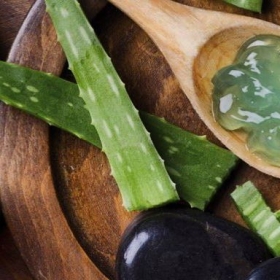 Pure aloe vera gel: 95,3% Ecological Aloe Vera